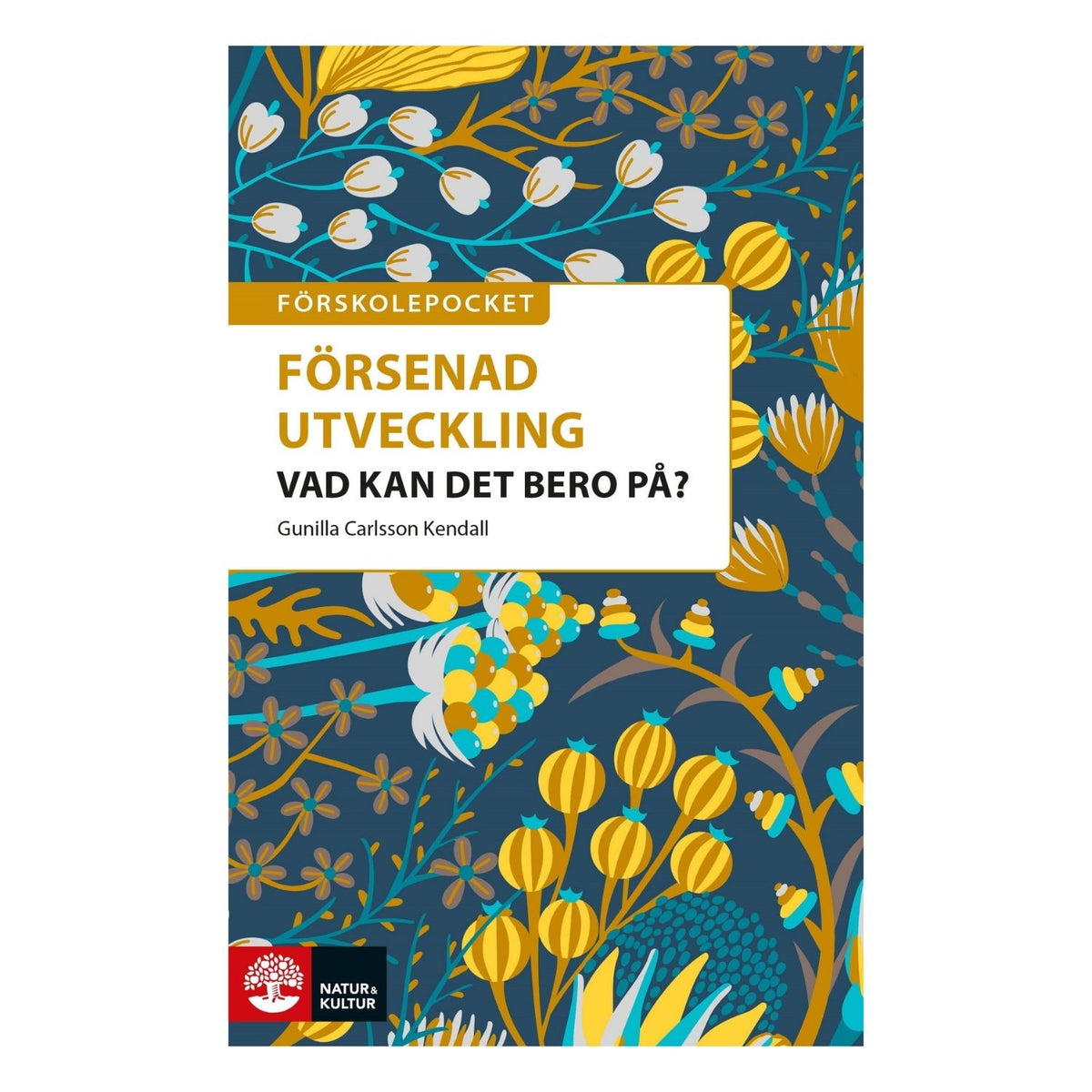 Omslag Försenad utveckling Vad kan det bero på om generell utvecklingsförsening i förskolan