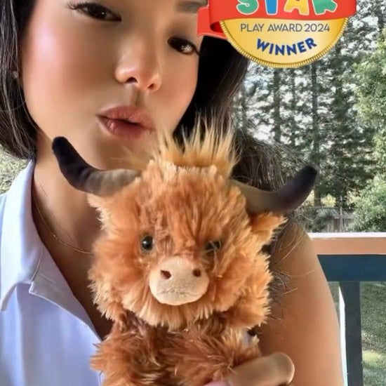 video på den söta tangle furry fidget friend highland cow