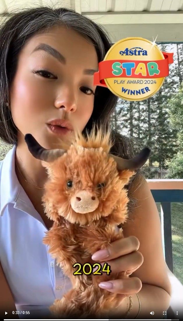 video på den söta tangle furry fidget friend highland cow
